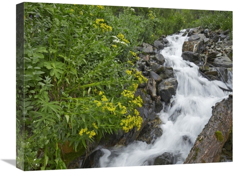 Global Gallery GCS-395985-1824-142 18 x 24 in. Creek Near Silverton&#4