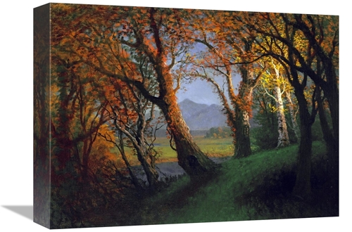 Global Gallery GCS-267715-16-142 16 in. Sunset in the Nebraska Territo