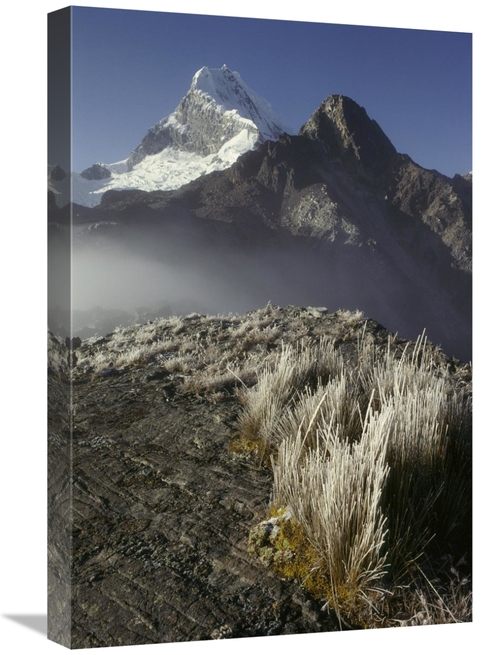 Global Gallery GCS-453523-1624-142 16 x 24 in. Frozen Grasses & Nevado