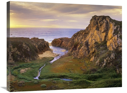 Global Gallery GCS-397090-2432-142 24 x 32 in. Garrapata Creek Flowing