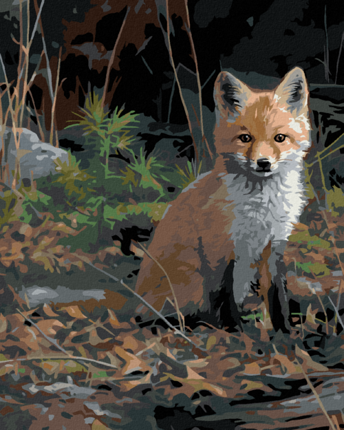 Zuty - Paint by Numbers â€“ SITTING FOX CUB (JOE HAUTMAN), 40x50 cm