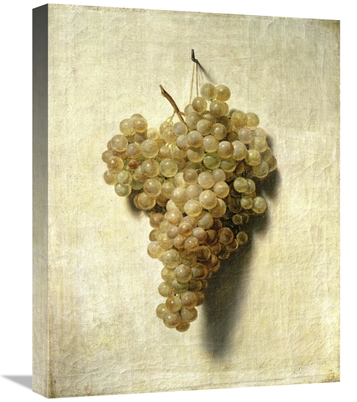 Global Gallery GCS-281741-22-142 22 in. White Grapes - Raisons Blancs 