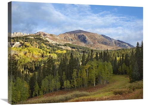 Global Gallery GCS-396087-2432-142 24 x 32 in. Ruby Peak Near Crested 