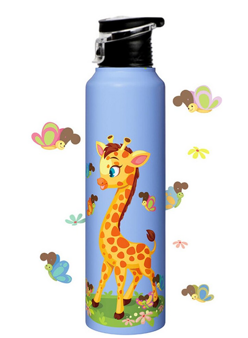 Stainless Steel Water Bottle for fridge School Gym Yoga Home office