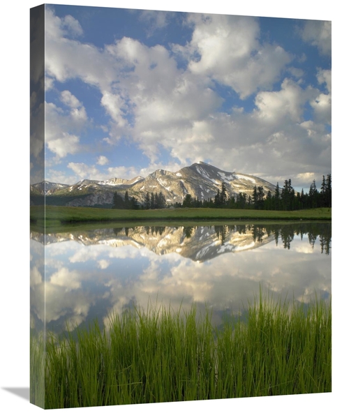 Global Gallery GCS-397076-1824-142 18 x 24 in. Mammoth Peak & Scattere