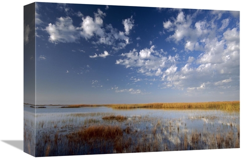 Global Gallery GCS-396188-1216-142 12 x 16 in. Marsh, Padre Island