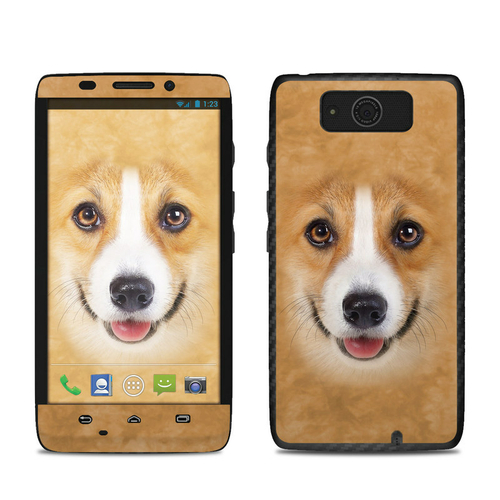 DecalGirl MDMA-CORGI Motorola Droid Maxx Skin - Corgi