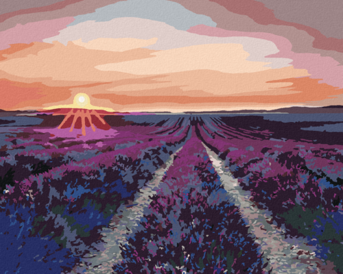 Paint by Numbers - LAVENDER FIELDS AND SUNSET