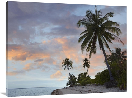 Global Gallery GCS-396640-3040-142 30 x 40 in. Coconut Palm Trees,