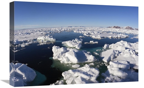 Global Gallery GCS-452708-1624-142 16 x 24 in. Ice Floe Field, Spi