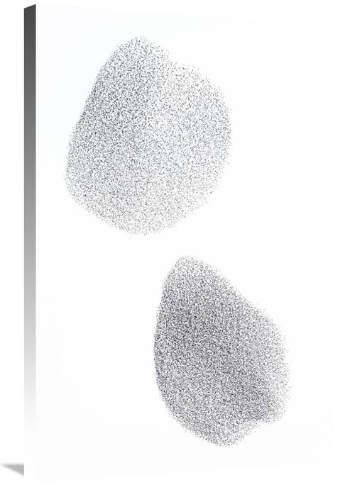 Global Gallery GCS-395368-2436-142 24 x 36 in. Common Starling Flock F