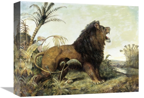 Global Gallery GCS-282224-16-142 16 in. A Lion in a Jungle Art Print -