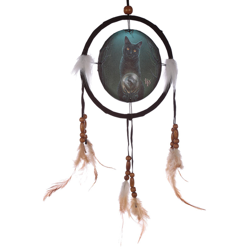 Decorative Cat Design Rise of the Witches 16cm Dreamcatcher