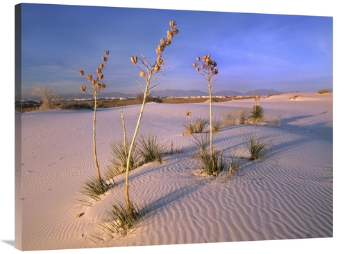Global Gallery GCS-396142-3040-142 30 x 40 in. White Sands National Mo