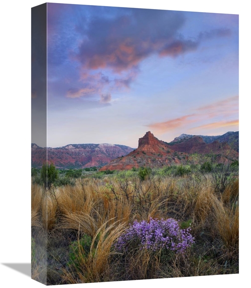 Global Gallery GCS-452239-1216-142 12 x 16 in. Caprock Canyons State P