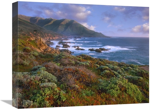 Global Gallery GCS-396844-1620-142 16 x 20 in. Cliffs & the Pacific Oc
