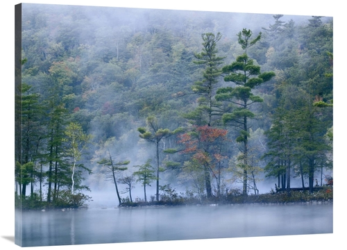 Global Gallery GCS-396393-3040-142 30 x 40 in. Emerald Lake in Fog&#44