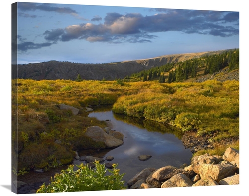 Global Gallery GCS-396796-36-142 36 in. Black Hills Landscape Showing 