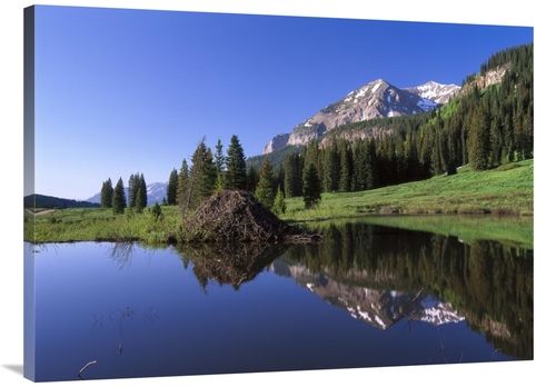 Global Gallery GCS-396594-3040-142 30 x 40 in. Gothic Mountain & Beave