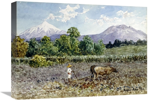 Global Gallery GCS-268253-22-142 22 in. Campesino Arando Art Print - A