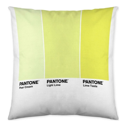 Cushion cover Ombre C Pantone Localization_B086JQZYZH Reversible 50 x