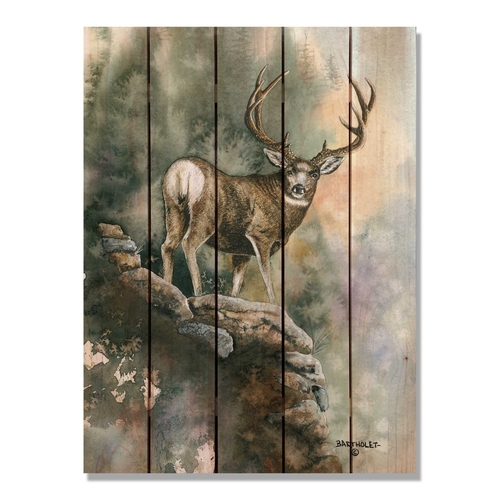 Day Dream HQ DBLLM2836 28 x 36 in. Bartholets Last Light Muley Inside 