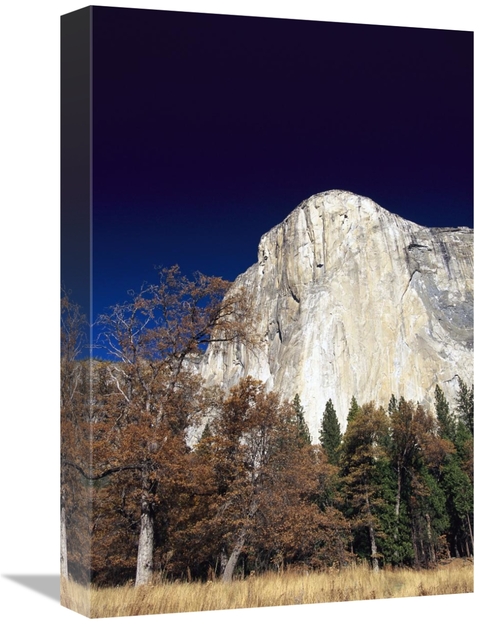 Global Gallery GCS-452918-1218-142 12 x 18 in. Late Light on Face of M