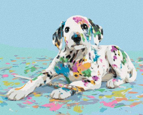 Paint by Numbers - DALMATIAN AND SPILT COLOURS