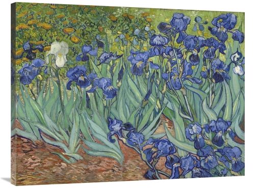 Global Gallery GCS-281275-40-142 40 in. Irises, 1889 Art Print - V