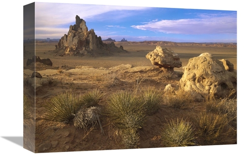 Global Gallery GCS-451992-1216-142 12 x 16 in. Church Rock, Eroded