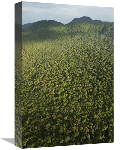 Global Gallery GCS-397904-1218-142 12 x 18 in. Rainforest, Iwokram