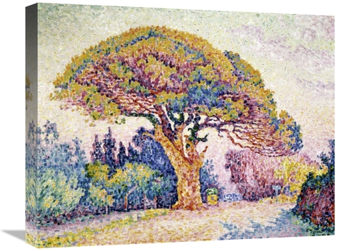 Global Gallery GCS-280057-22-142 22 in. Pine Tree in St. Tropez Art Pr