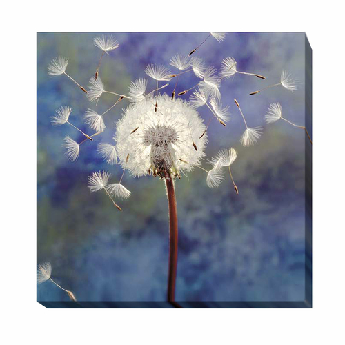 Artistic Home Gallery 3030A952EG Dandelion by Gayle & Glen Wans Premiu