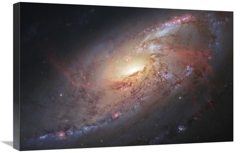 Global Gallery GCS-456001-2030-142 20 x 30 in. Galaxy M106 Art Print -