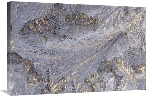 Global Gallery GCS-395751-2436-142 24 x 36 in. Frost Crystal Formation