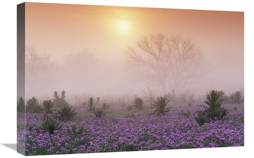 Global Gallery GCS-396244-1624-142 16 x 24 in. Sand Verbena Foggy Sunr