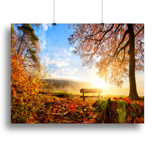 landscape with the sun warmly illumining Canvas Print or Poster
