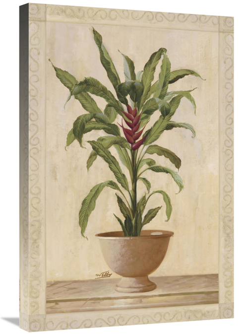 Global Gallery GCS-121181-2030-142 20 x 30 in. Potted Palm II Art Prin