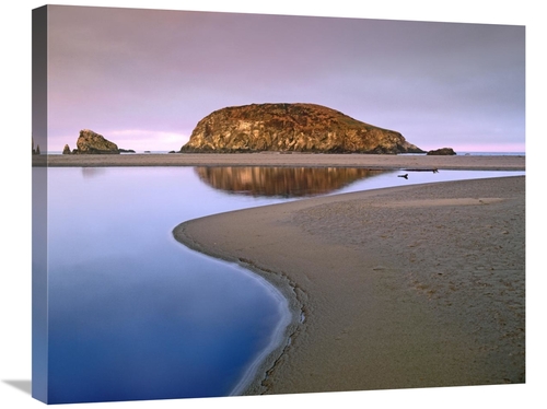 Global Gallery GCS-395991-2228-142 22 x 28 in. Harris Beach State Park