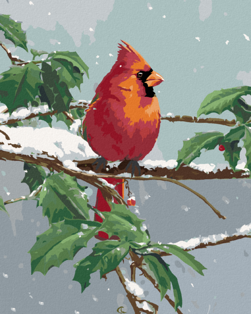 Zuty - Paint by Numbers â€“ CARDINAL BIRD ON A SNOW-COVERED HOLLY