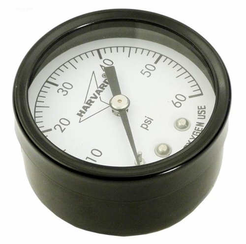 American Granby IPG6024B 0.25 in. Pressure Gauge Mpt Back Mount