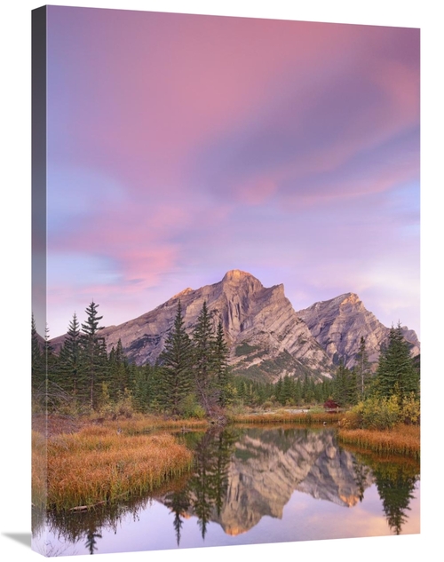 Global Gallery GCS-452159-2432-142 24 x 32 in. Mount Kidd & Trees Refl