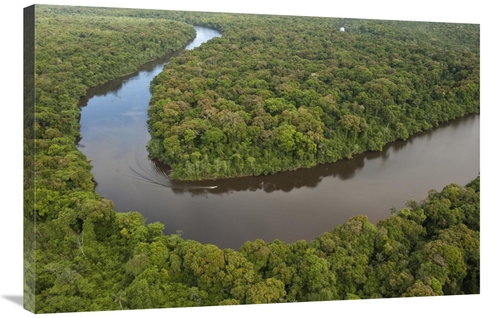 Global Gallery GCS-397927-2436-142 24 x 36 in. Rainforest & Essequibo 