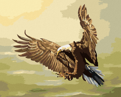 Zuty - Paint by Numbers - HUNTING EAGLE (D. RUSTY RUST), 40x50 cm