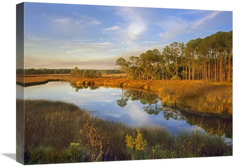 Global Gallery GCS-395992-1824-142 18 x 24 in. Lake Near Apalachicola&