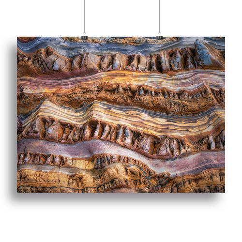 Abstractions In Nature Canvas Print or Poster