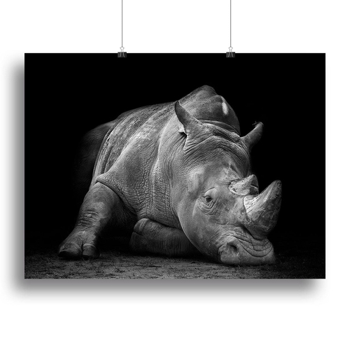 Black And White Rhink Canvas Print or Poster