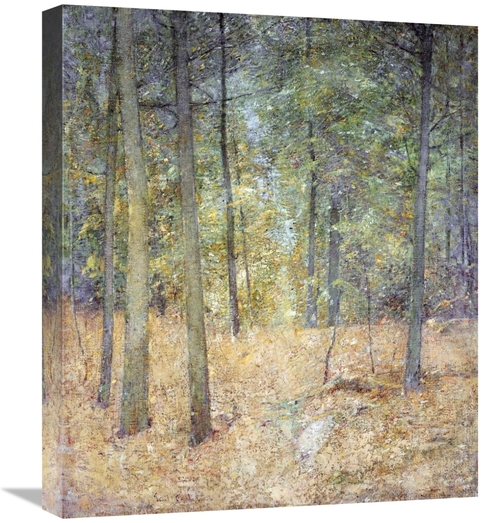 Global Gallery GCS-267821-22-142 22 in. A Light in the Forest Art Prin