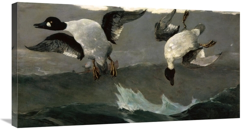 Global Gallery GCS-278029-36-142 36 in. Right & Left Art Print - Winsl