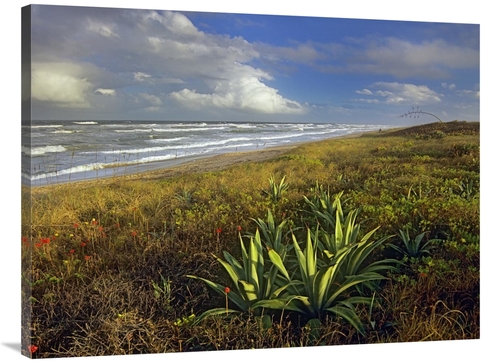 Global Gallery GCS-396361-3040-142 30 x 40 in. Apollo Beach at Canaver